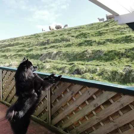 Friesenkate בית הארחה Wangerland