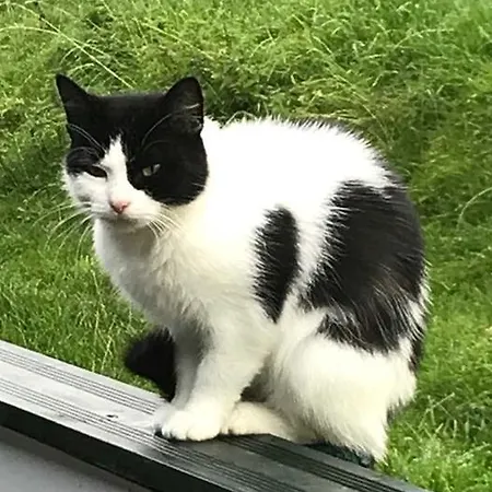 Friesenkate Guest house