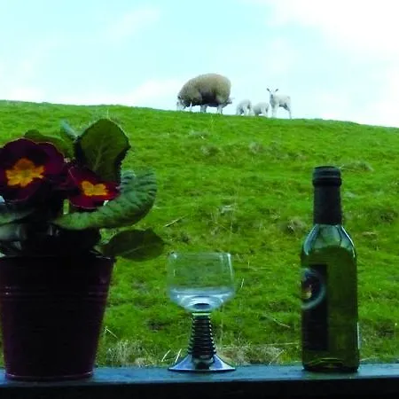 Friesenkate Guest house